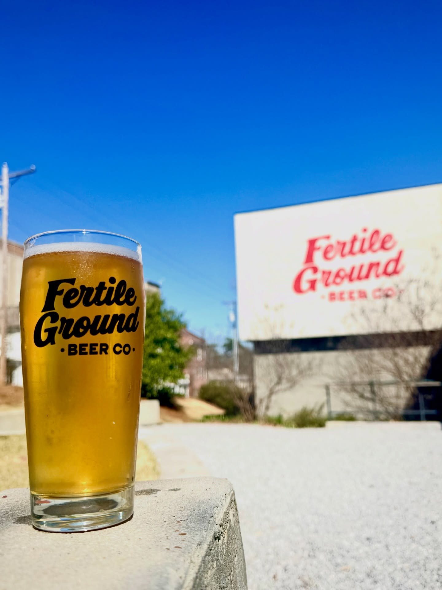 🚨SMALL BATCH BEER RELEASE TODAY! Come grab a pint of Lemon Colsons while it lasts! If you love Colsons Golden Ale you&rsquo;ll love this version with 🍋! It&rsquo;s easy drinking as always with a bright pop of citrus that goes great with this sunny 
