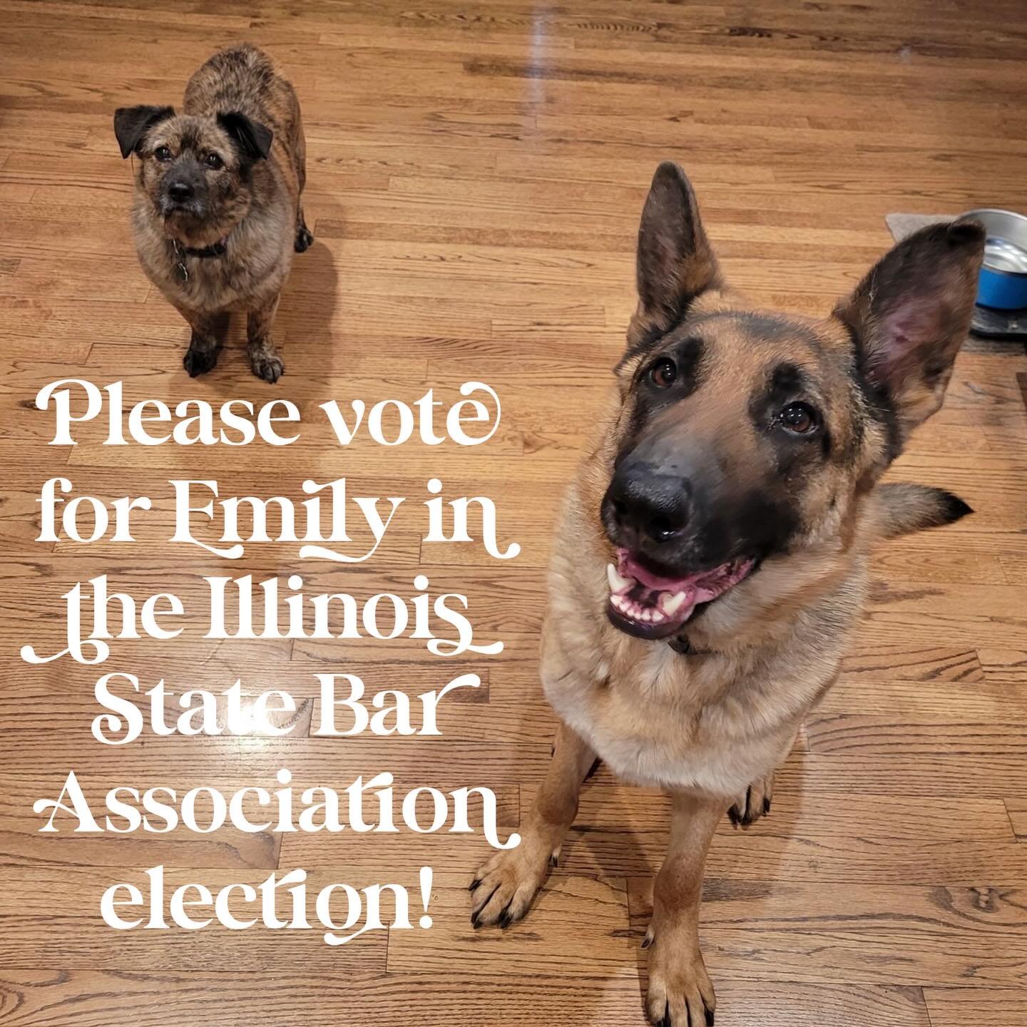 April 30 at 4:30pm CST is the deadline to vote in the Illinois State Bar Association election. ISBA Members: Don&rsquo;t delay, vote today!🗳️

Go to ISBA.org/election to log in and vote.

#Illinoislawyers
