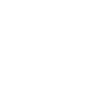 The Emerging Man Summit