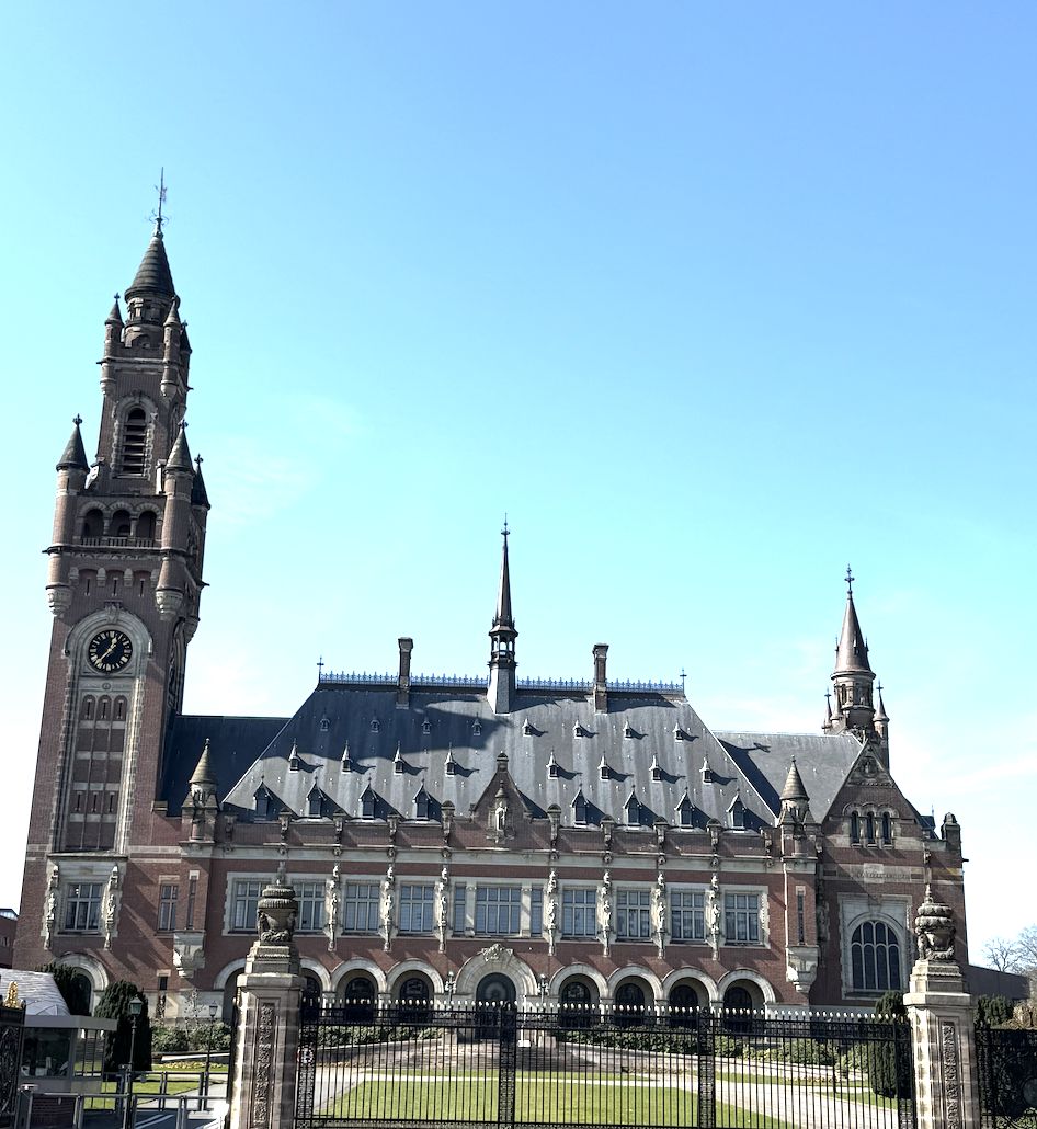 Do Not Dismiss International Law