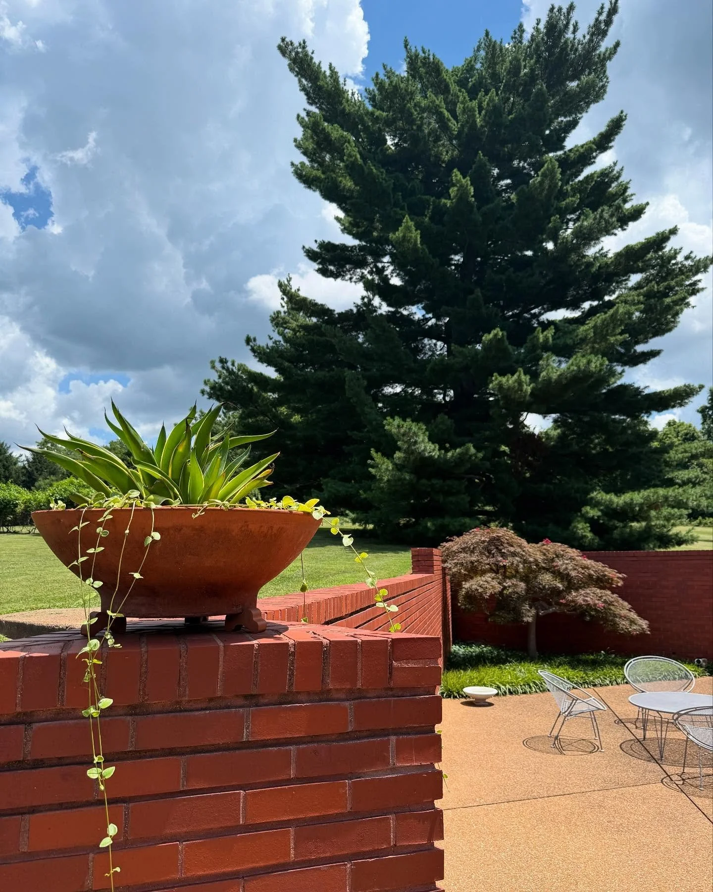 Wrapping up a family vacation to St. Louis, what a blend of fun and inspiration!

The highlight was getting to tour Frank Lloyd Wright&rsquo;s Krauss House in Ebsworth Park. Walking through his timeless design, surrounded by nature so intentionally i