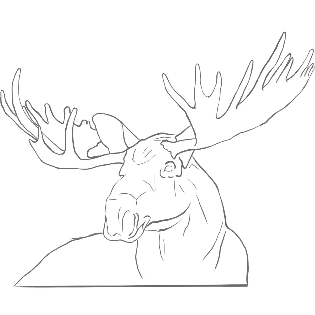 Lucca Designs Portfolio-2.png