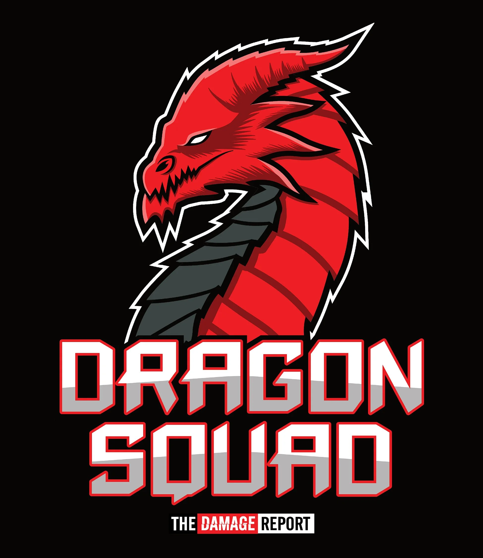 DRAGON SQUAD_FINAL ARTWORK_Medium.jpg