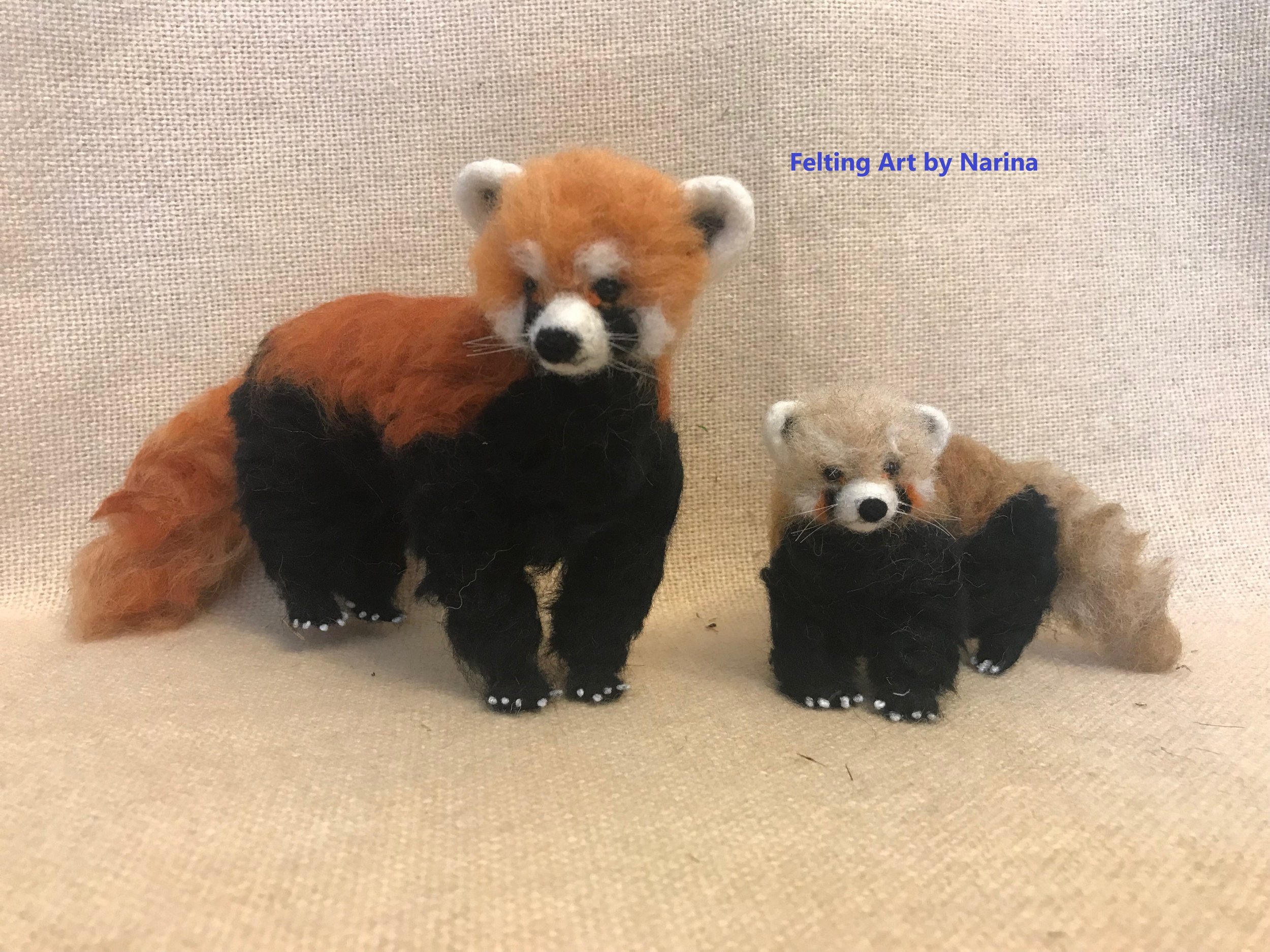 Red Panda and baby panda