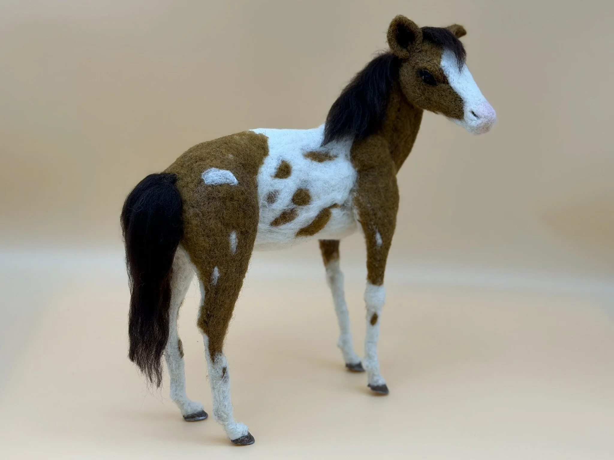 Horse Pinto 3.JPEG