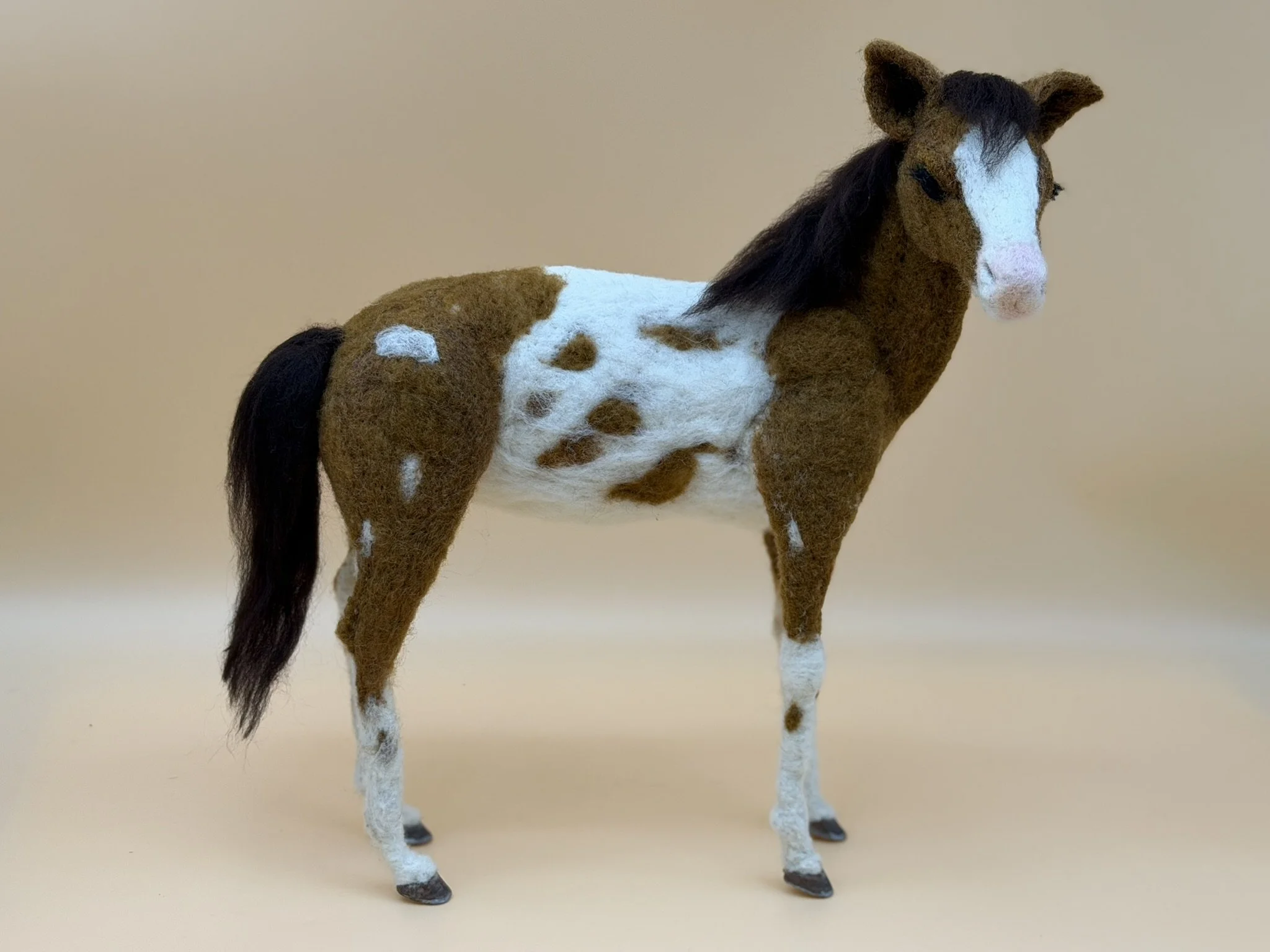Horse Pinto 2.JPEG