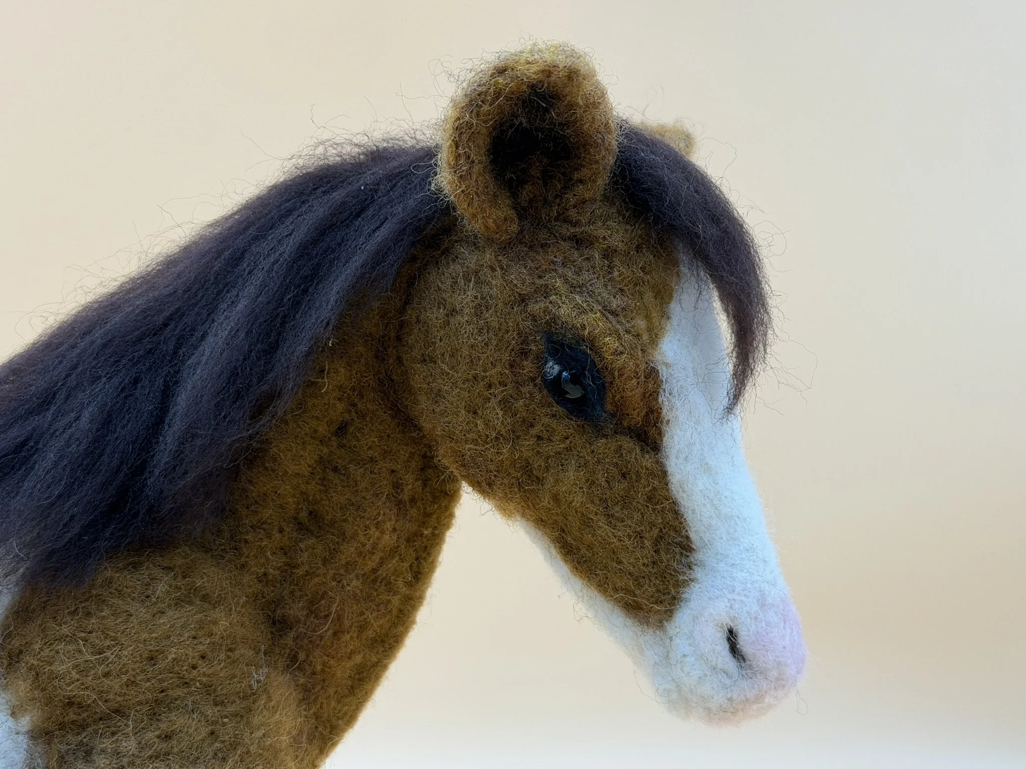 Horse Pinto 5.JPEG