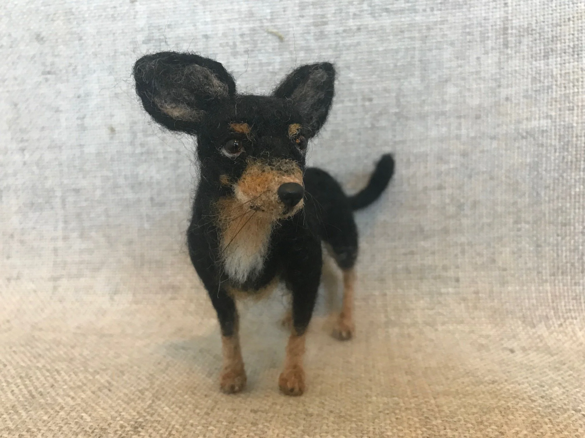 Dog- Small Breed