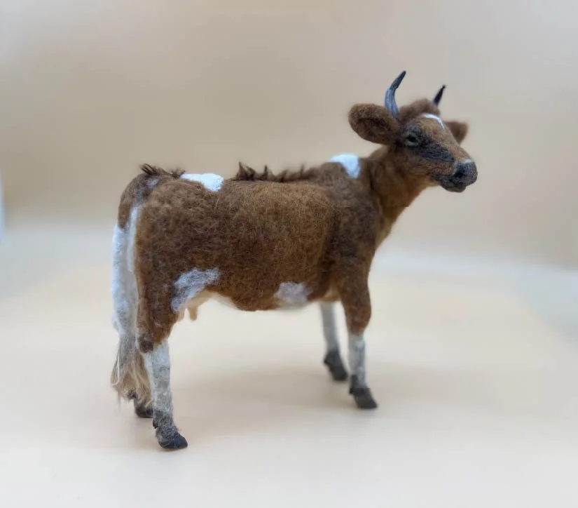 Jersey Cow