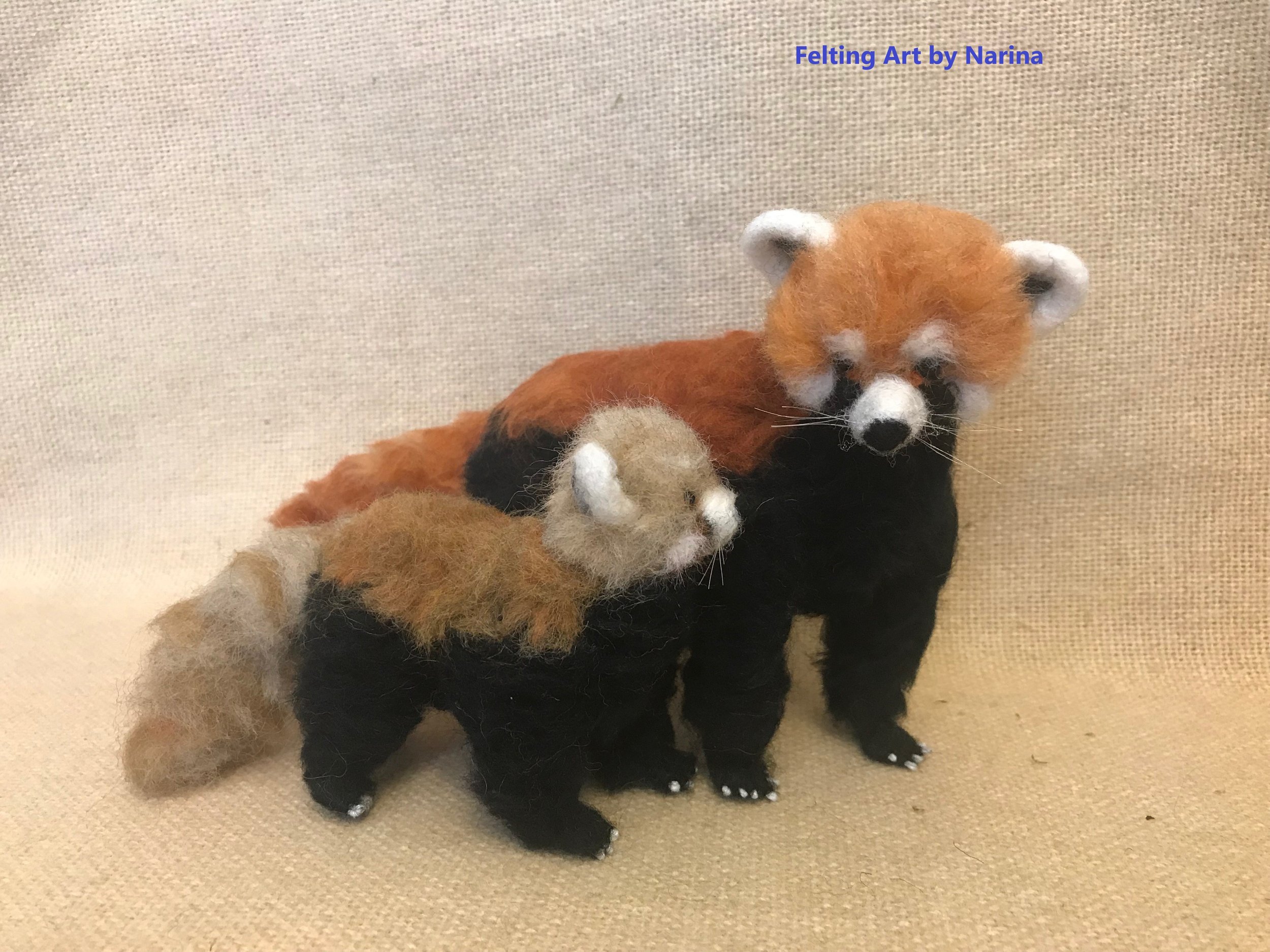 Red Panda and baby panda