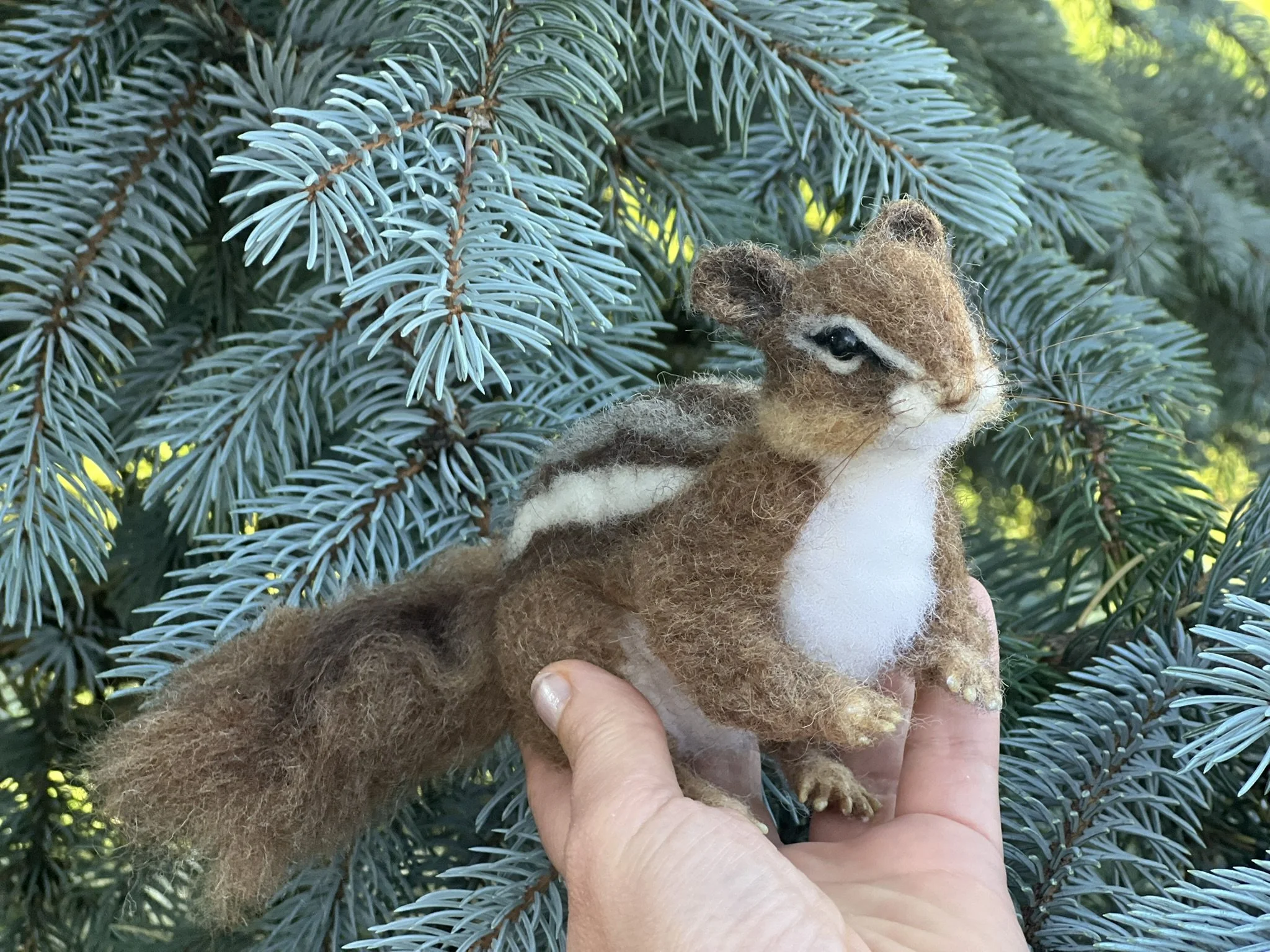 Chipmunk