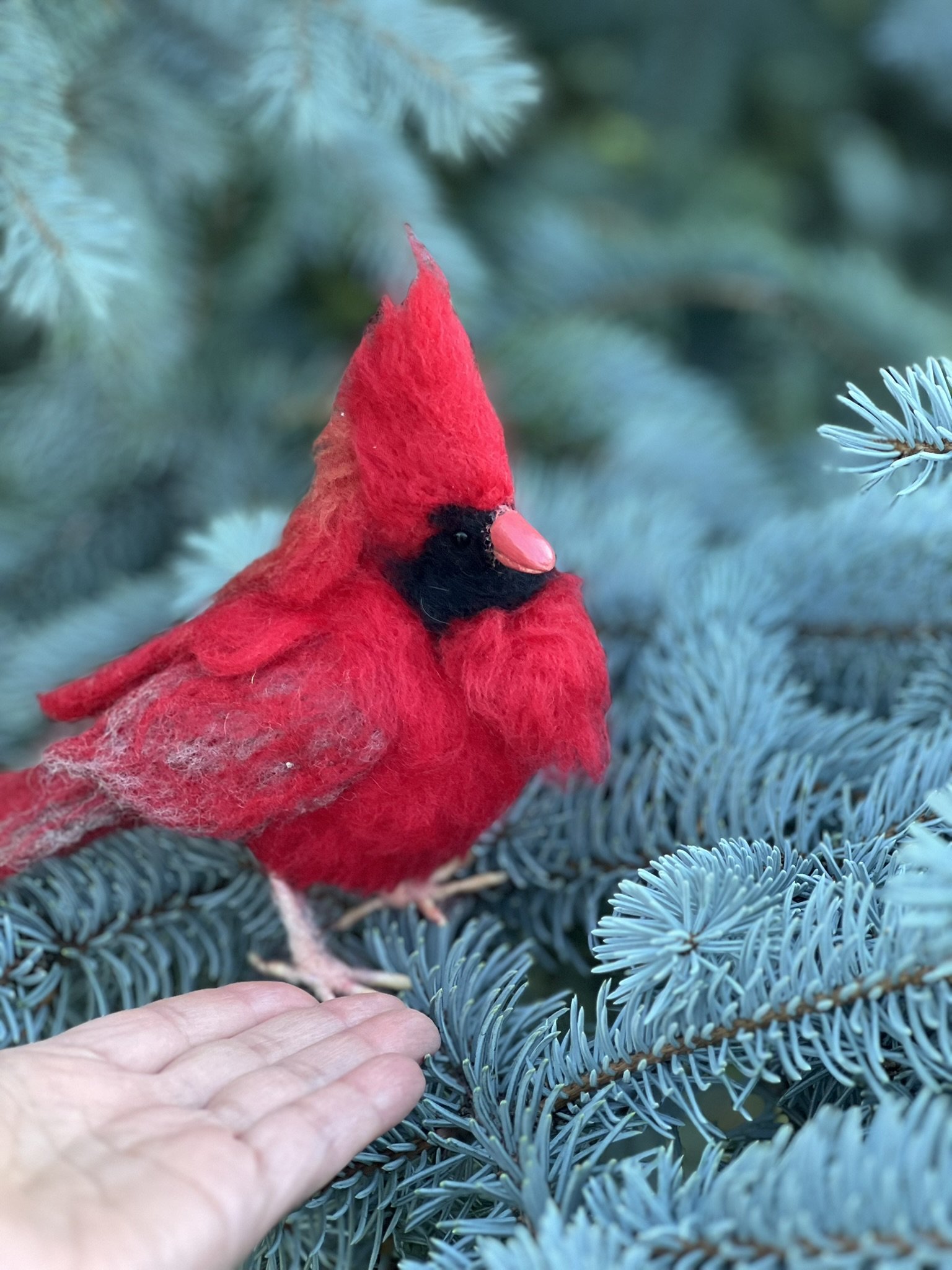 Needle felted red cardinal