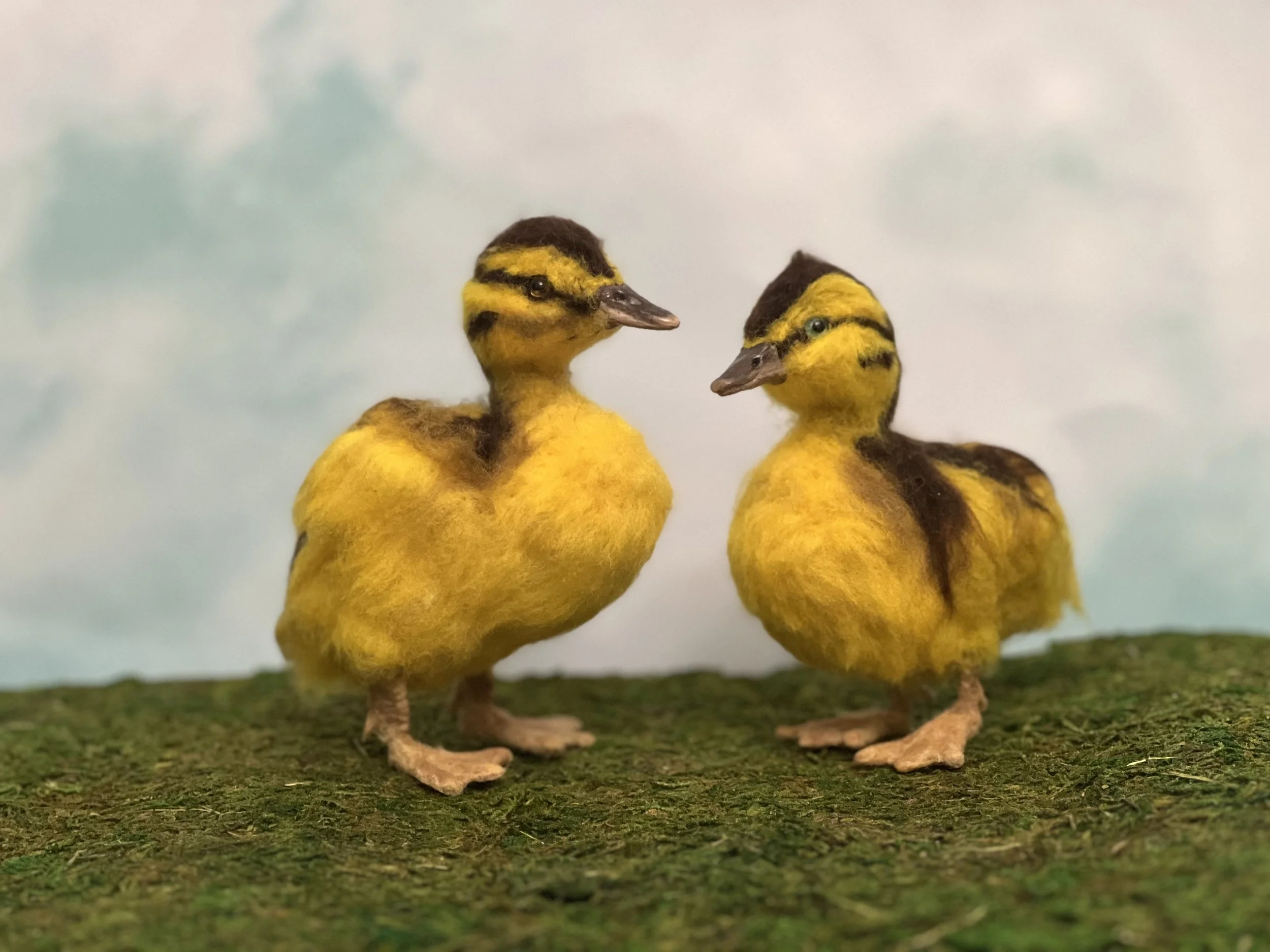 Dawn Ducks Listing.jpg