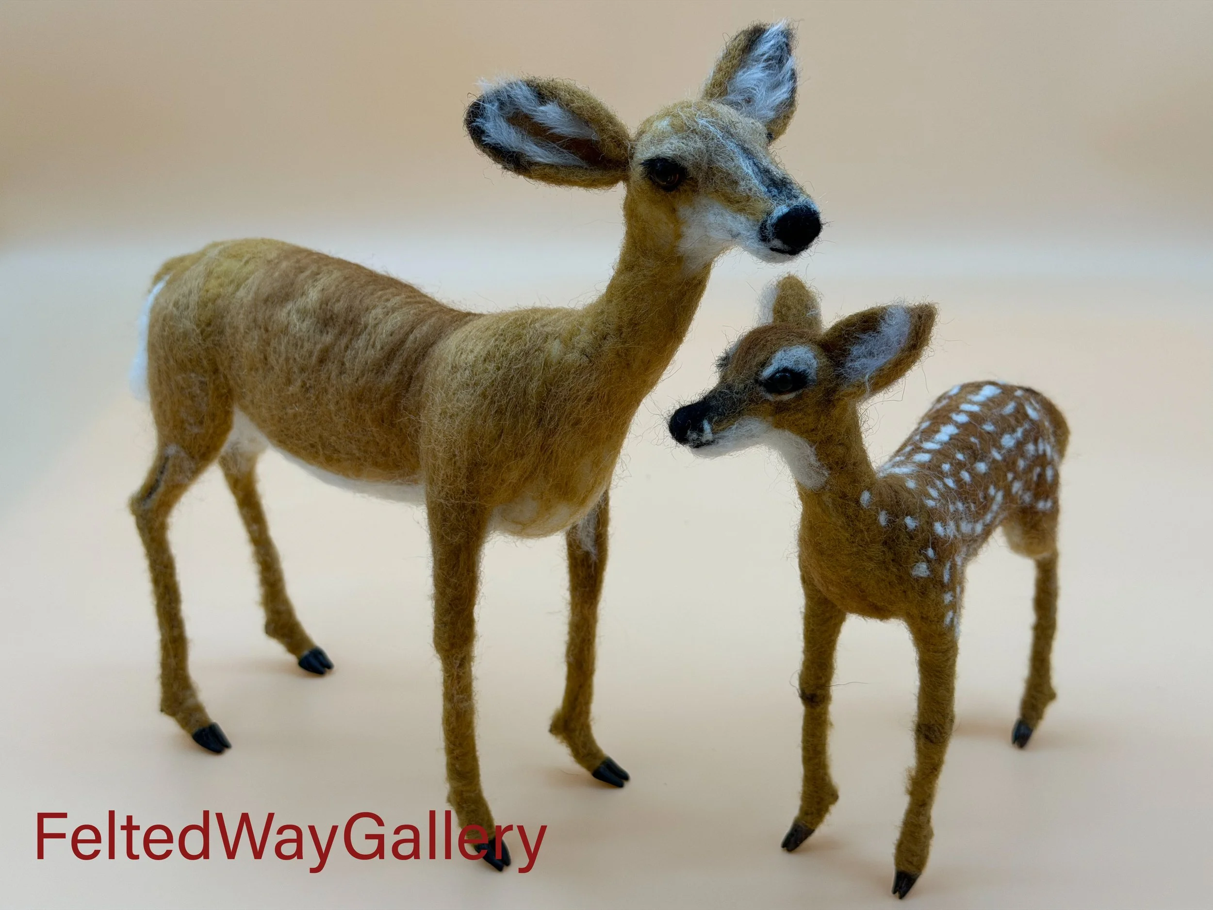 Deer