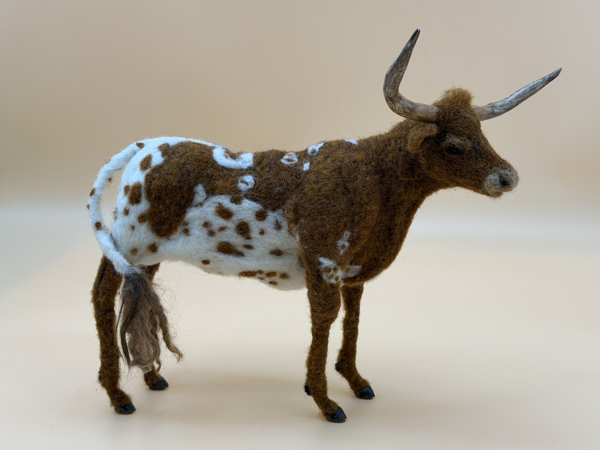Texas Longhorn