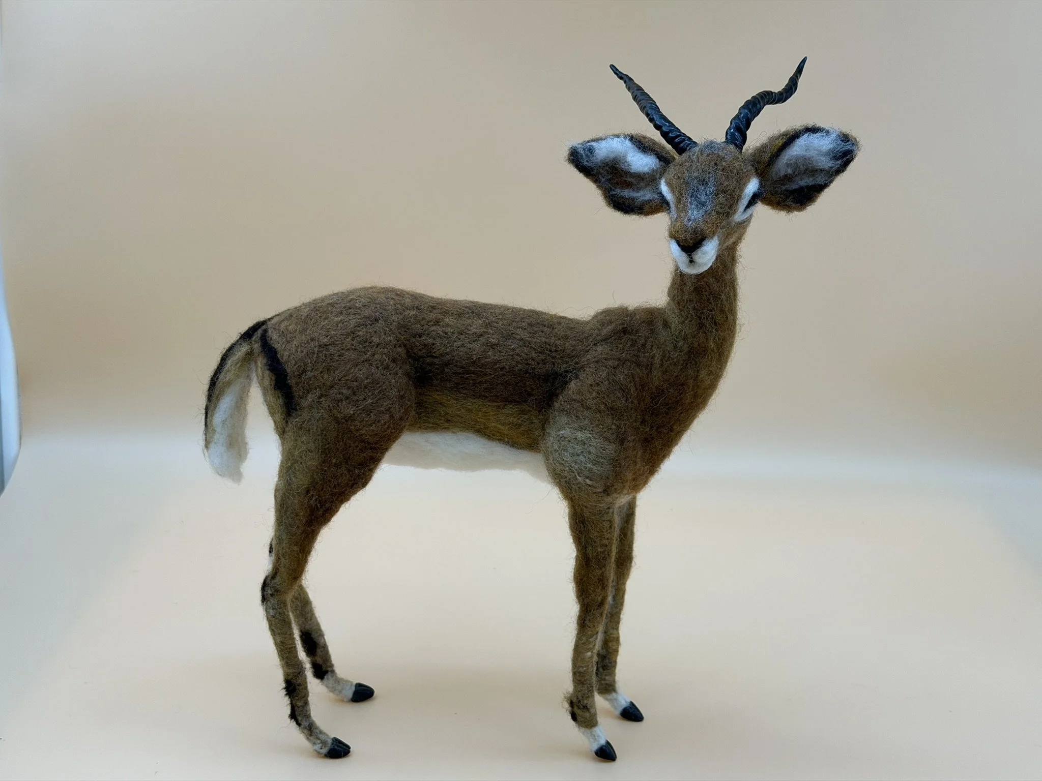 Impala