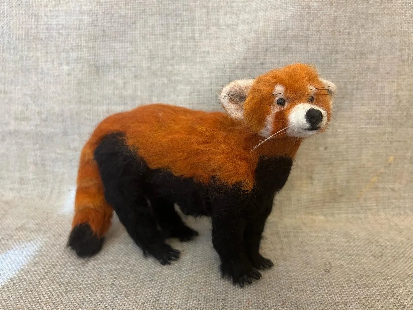 Red Panda