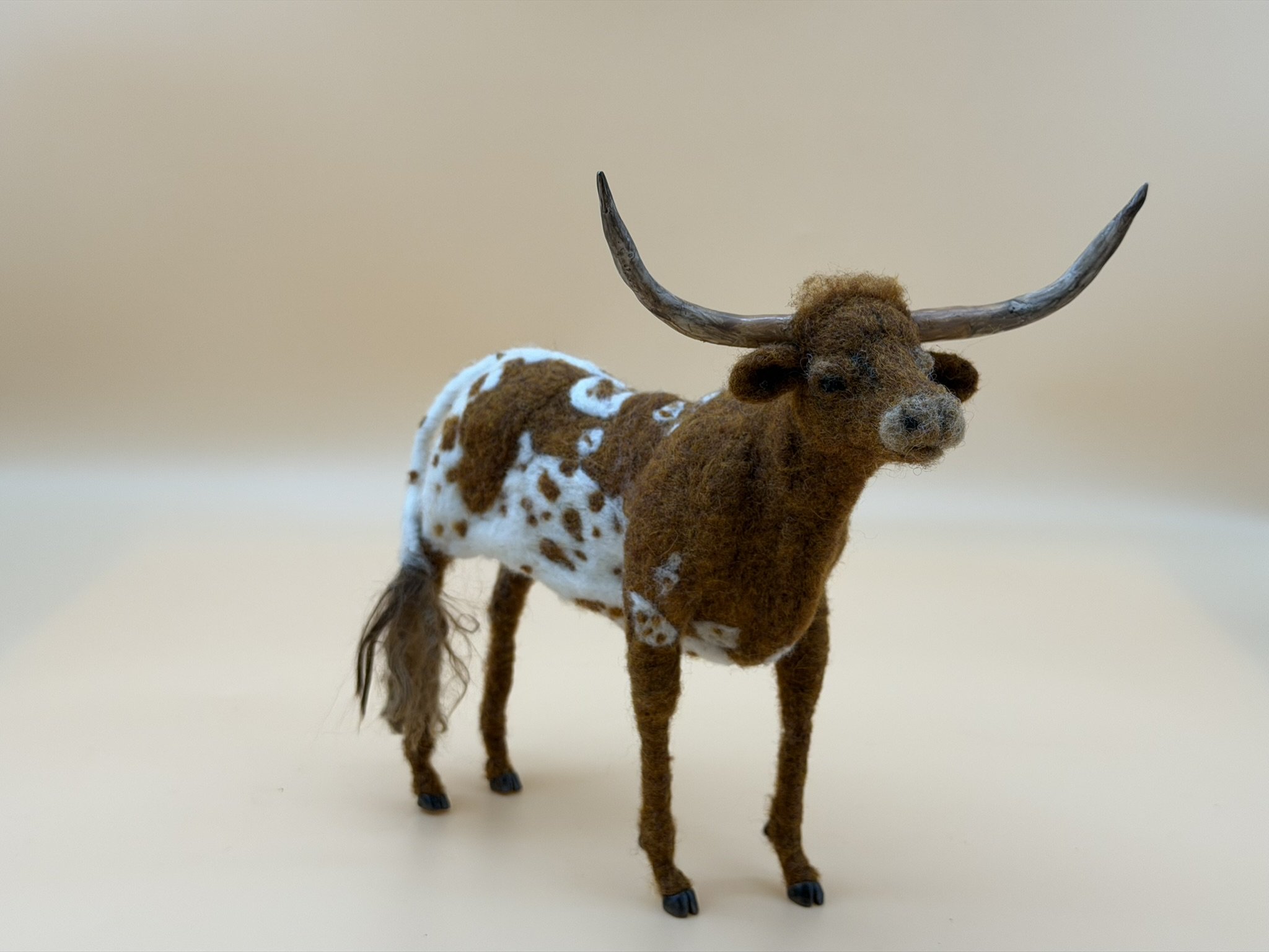 Texas Longhorn 2.JPEG