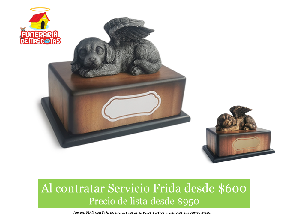 Tranquilidad perro.PNG