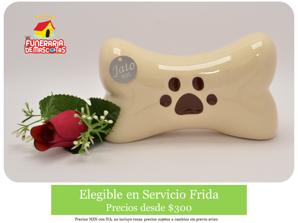 Huesito ceramica.PNG