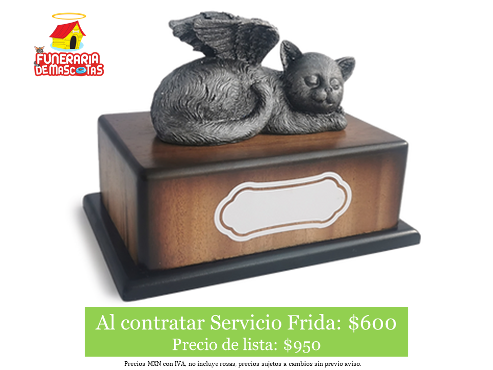 Tranquilidad gato plata.PNG