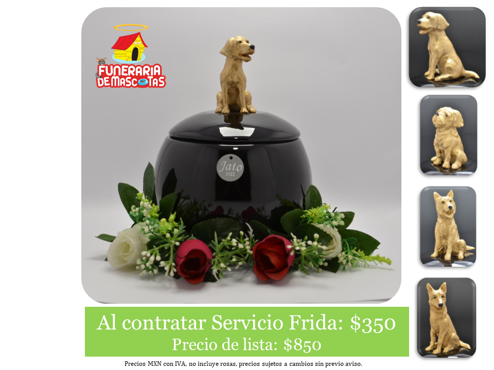 Olimposs negro grande.PNG