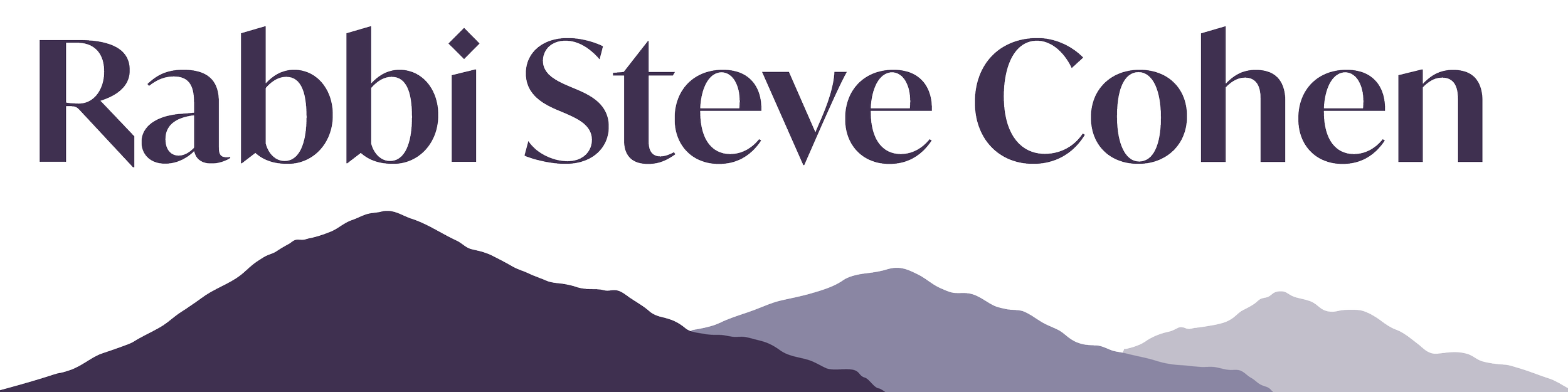 Bio — Rabbi Steve Cohen