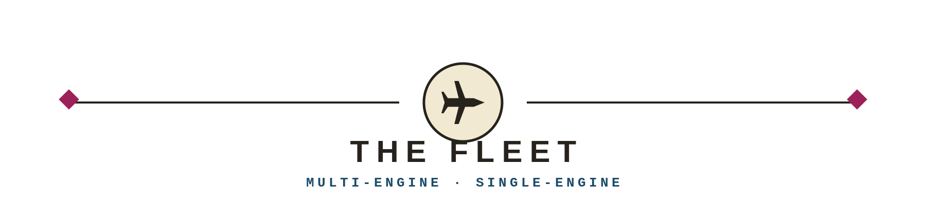 WETSU Aviation "The Fleet" section divider with airplane icon