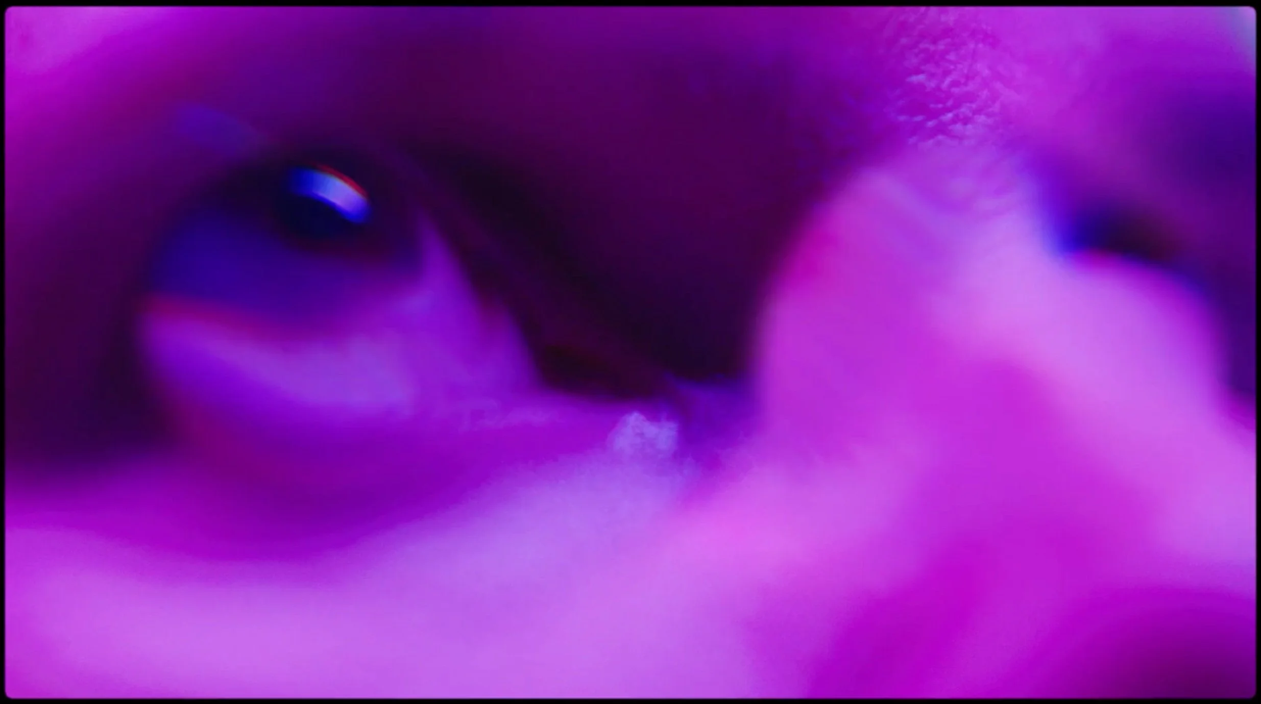 Screen+Shot+2018-06-12+at+12.23.48+AM.jpg