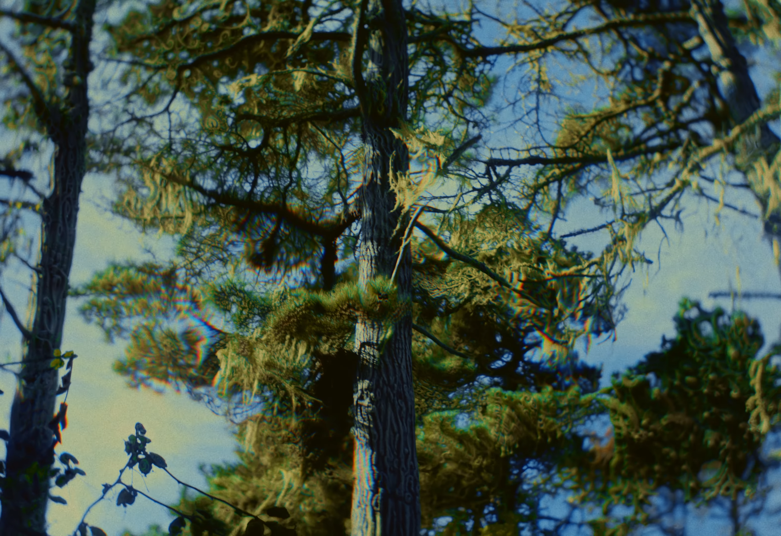 Syncing Sinking _ Official Teaser 2024 0-27 screenshot.png