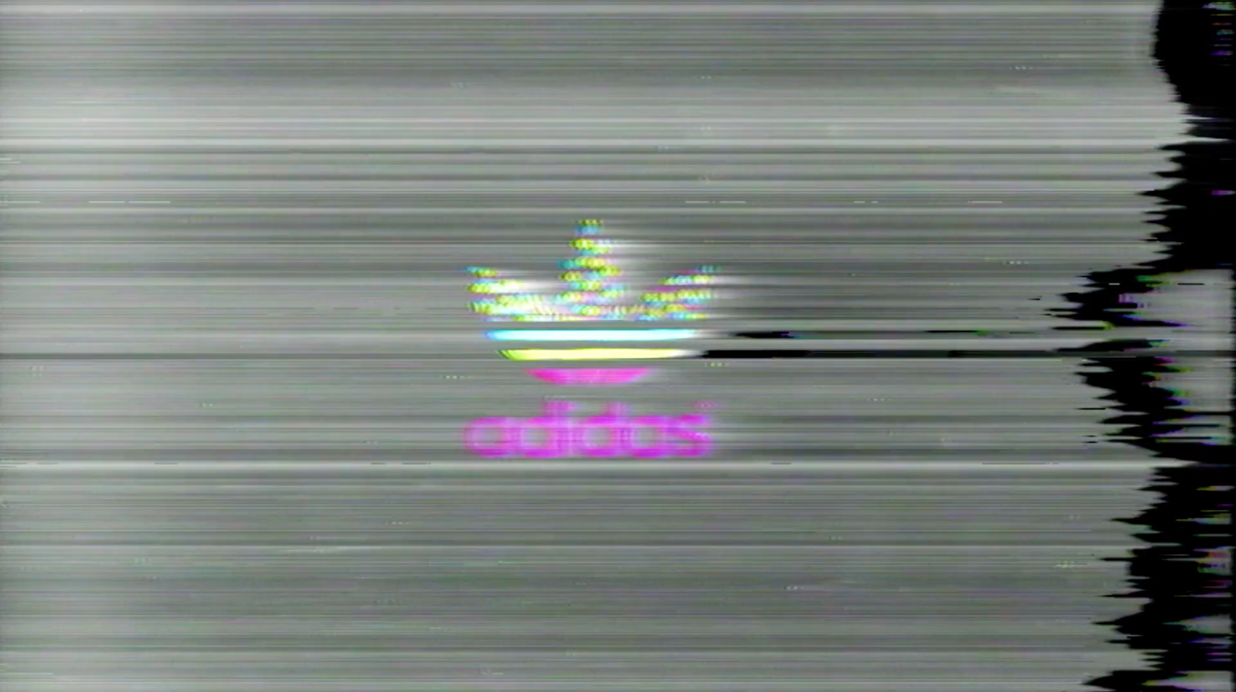 Screen Shot 2019-08-05 at 8.14.04 PM.png