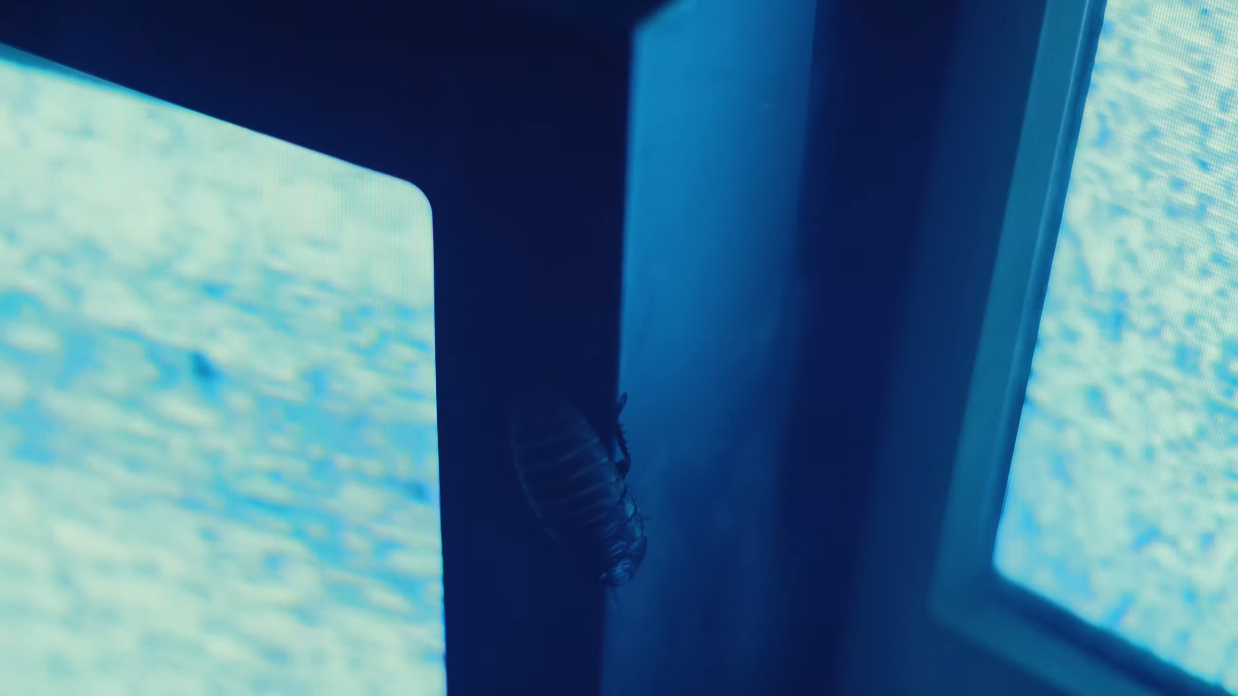 _2-5 screenshot.png