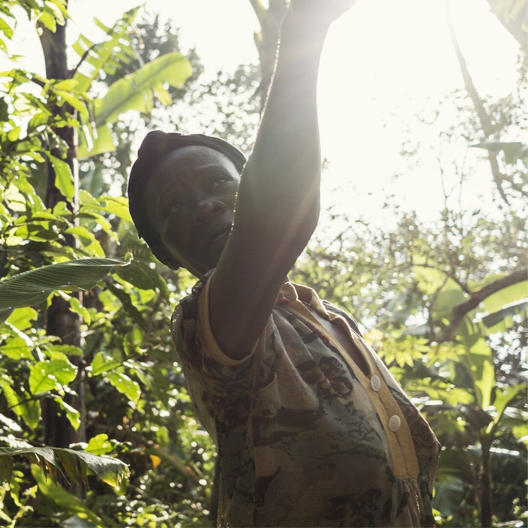 1 of 2 | This is Birabwa Grace; she's the matriarch of one of our farming families that grows, harvests, and dries the fruit you'll soon be tasting! We love working with her and are glad we could assist her in attaining organic certification. Go Grac