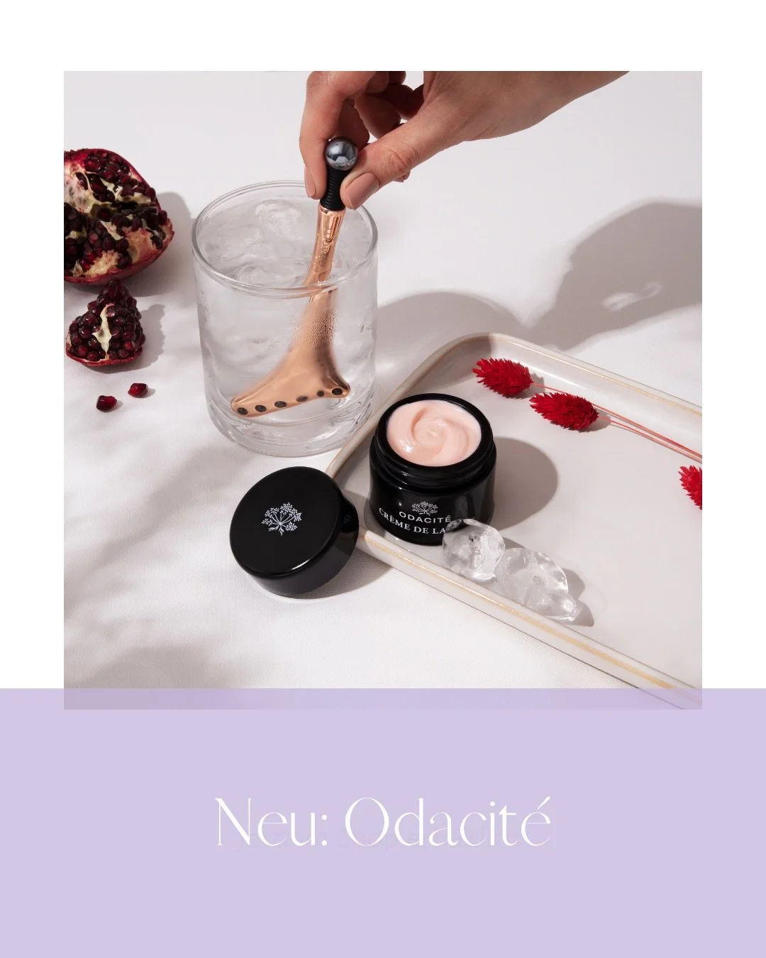 Neu: Odacit&eacute; 🌿
Sichtbare Ergebnisse &ndash; das war mein erstes Kriterium.
Franz&ouml;sische Hautpflege-Expertise, gr&uuml;ne Philosophie, keine synthetischen Chemikalien. Hochkonzentrierte Pflanzenwirkstoffe, die wirklich etwas bewirken.
Ein