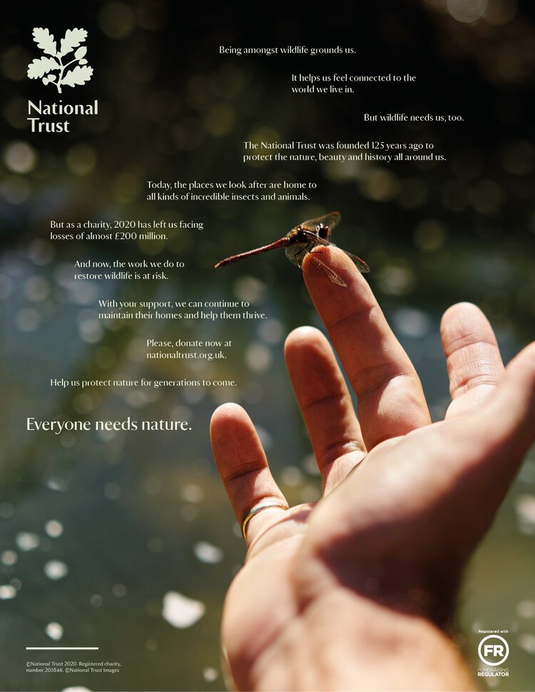 NT+-+Wildlife+Needs+Us.jpeg