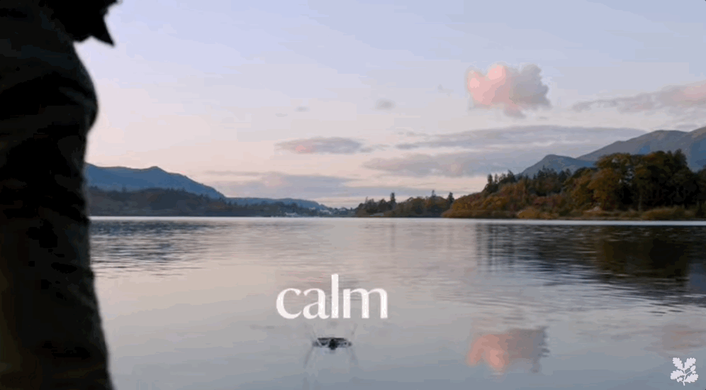 calm 2.gif