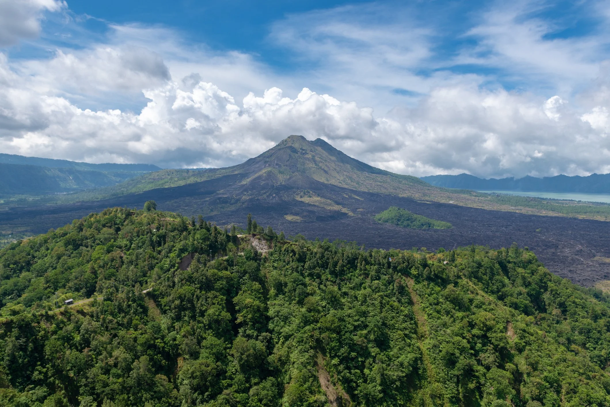 iStock-955284998.jpg