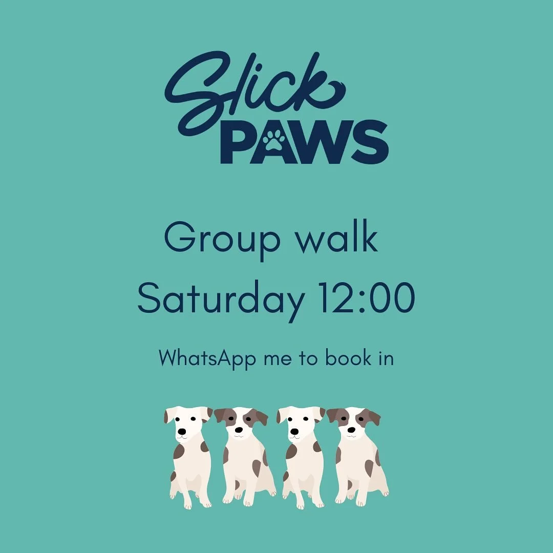 Got plans tomorrow(Saturday) and need a dog walk? I&rsquo;ve gotcha covered!

#dogwalker
#leightonbuzzard&nbsp;#leightonbuzzarddogwalker&nbsp;#dogwalkerleightonbuzzard
#leightonbuzzardbusiness&nbsp;#leightonbuzzardlocal