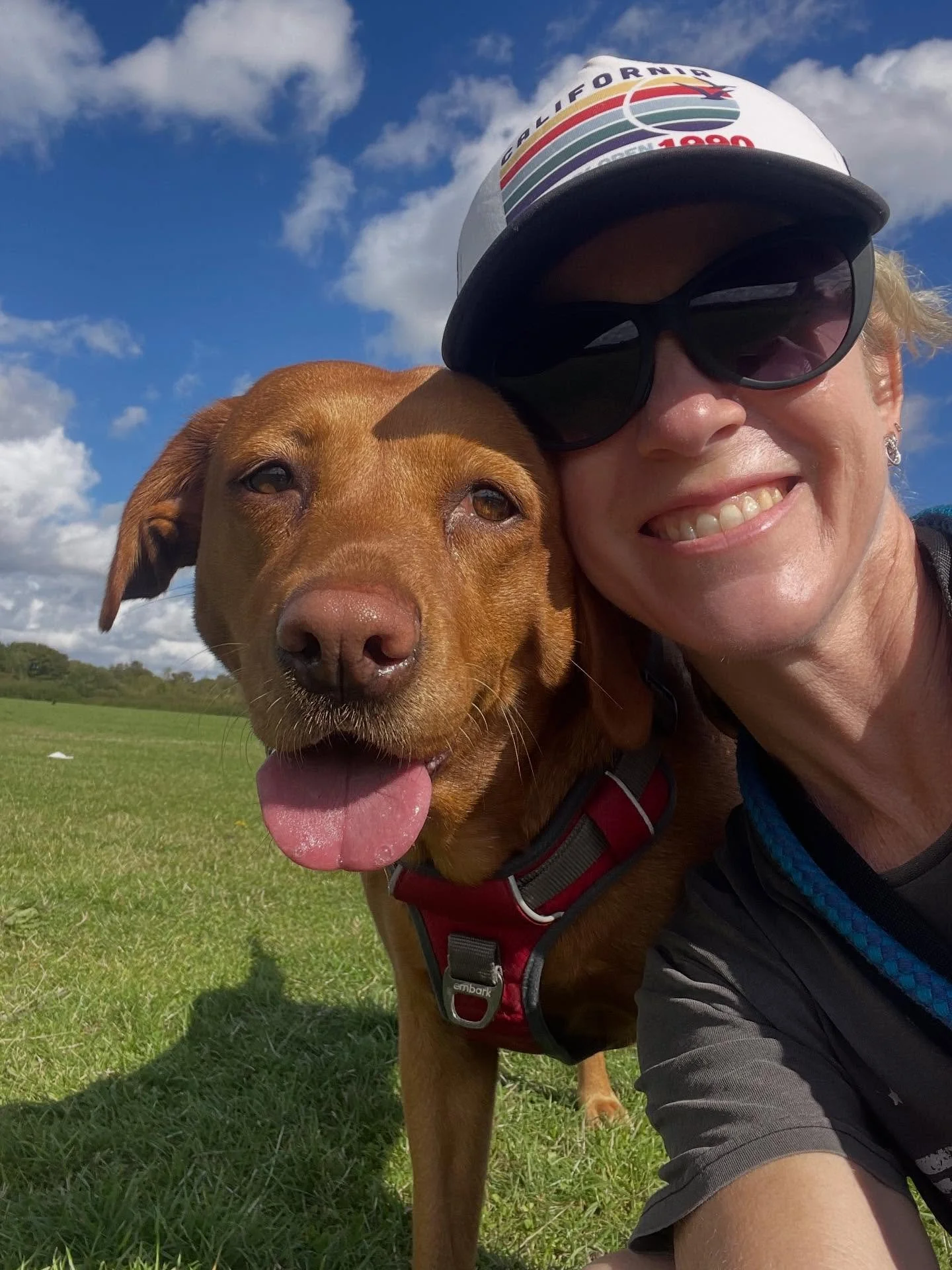 Sunny Monday with these gorgeous pooches!

#dogwalker
#leightonbuzzard&nbsp;#leightonbuzzarddogwalker&nbsp;#dogwalkerleightonbuzzard
#leightonbuzzardbusiness&nbsp;#leightonbuzzardlocal