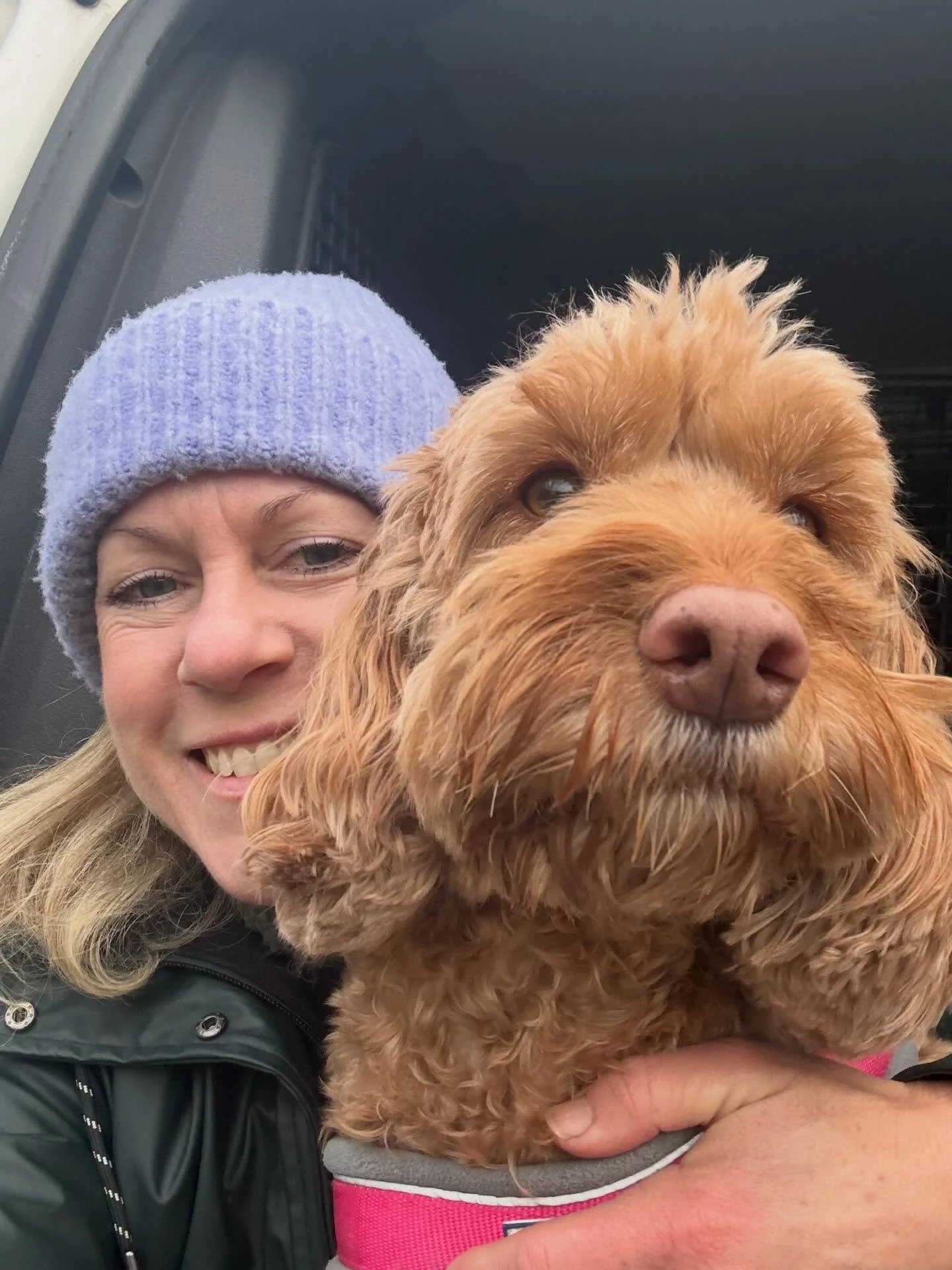Ya&rsquo;ll keepin&rsquo; warm out there? 🥶 Grateful for a busy Thursday with the best doggos! 

#dogwalker
#leightonbuzzard&nbsp;#leightonbuzzarddogwalker&nbsp;#dogwalkerleightonbuzzard
#leightonbuzzardbusiness&nbsp;#leightonbuzzardlocal