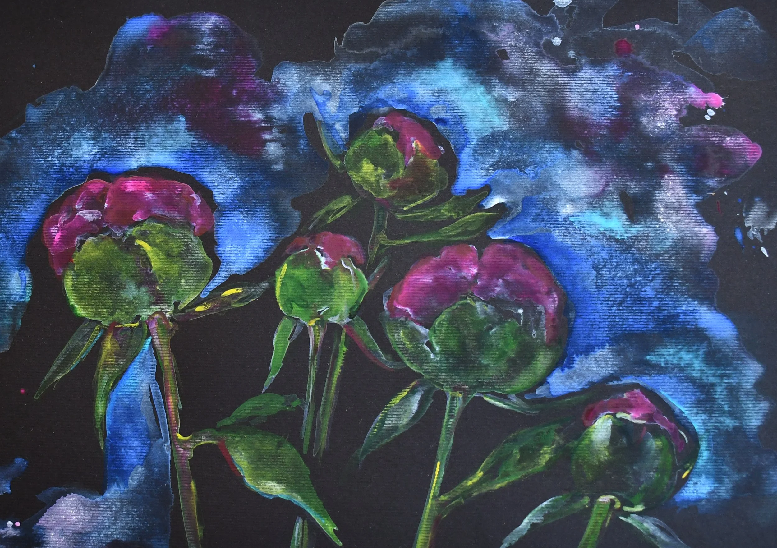 Pfingstrosen auf schwarzem Aquarellpapier.jpg