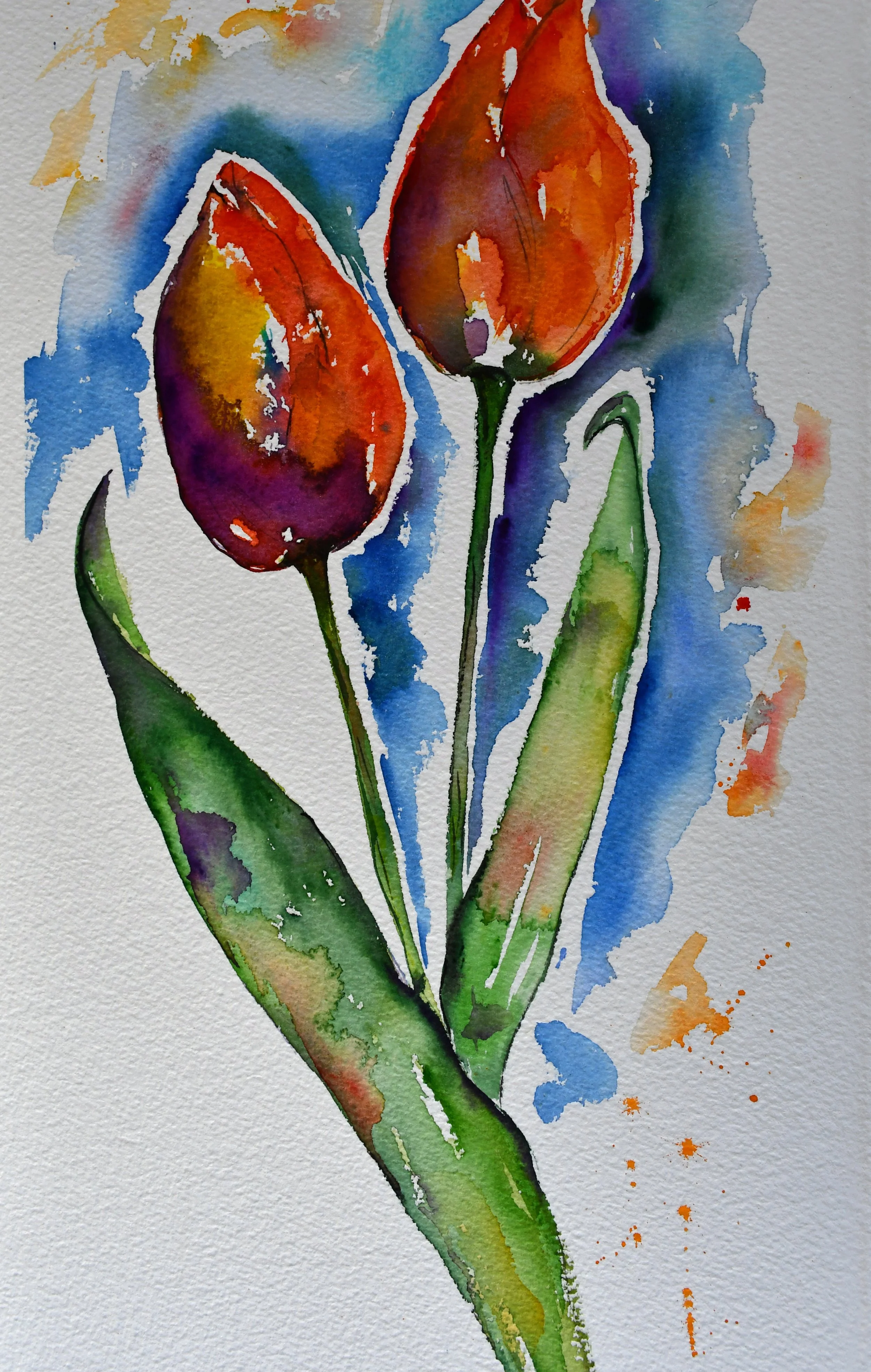Tulpen.jpg
