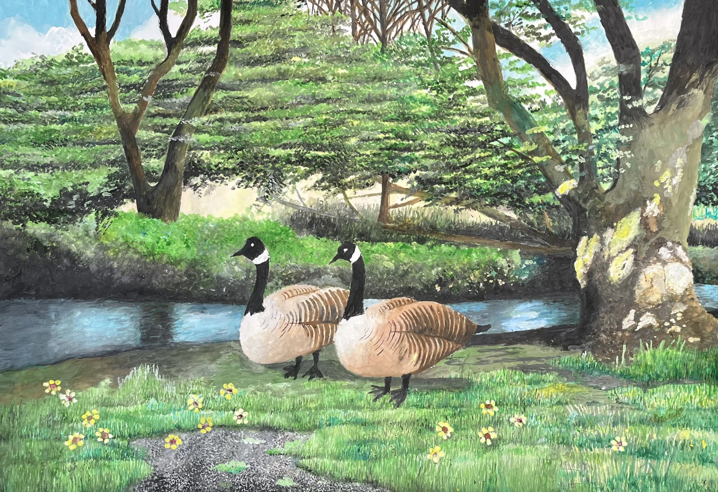 Canada Geese