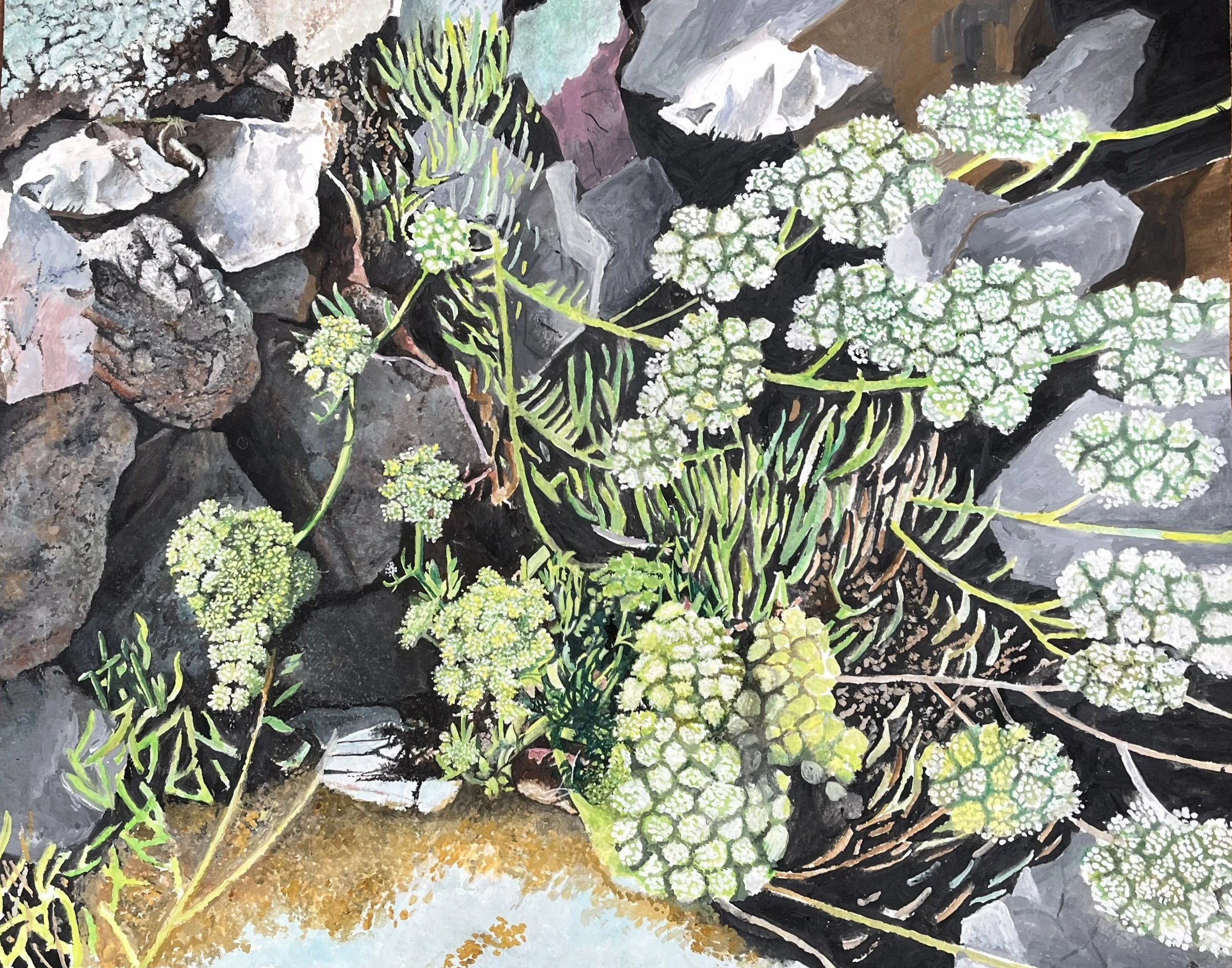 Out of the Rocks - No. 2