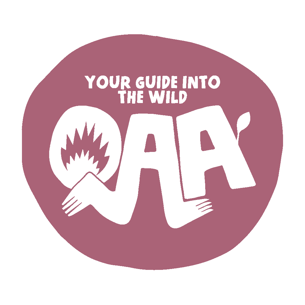 OOT &amp; ABOOT adventure