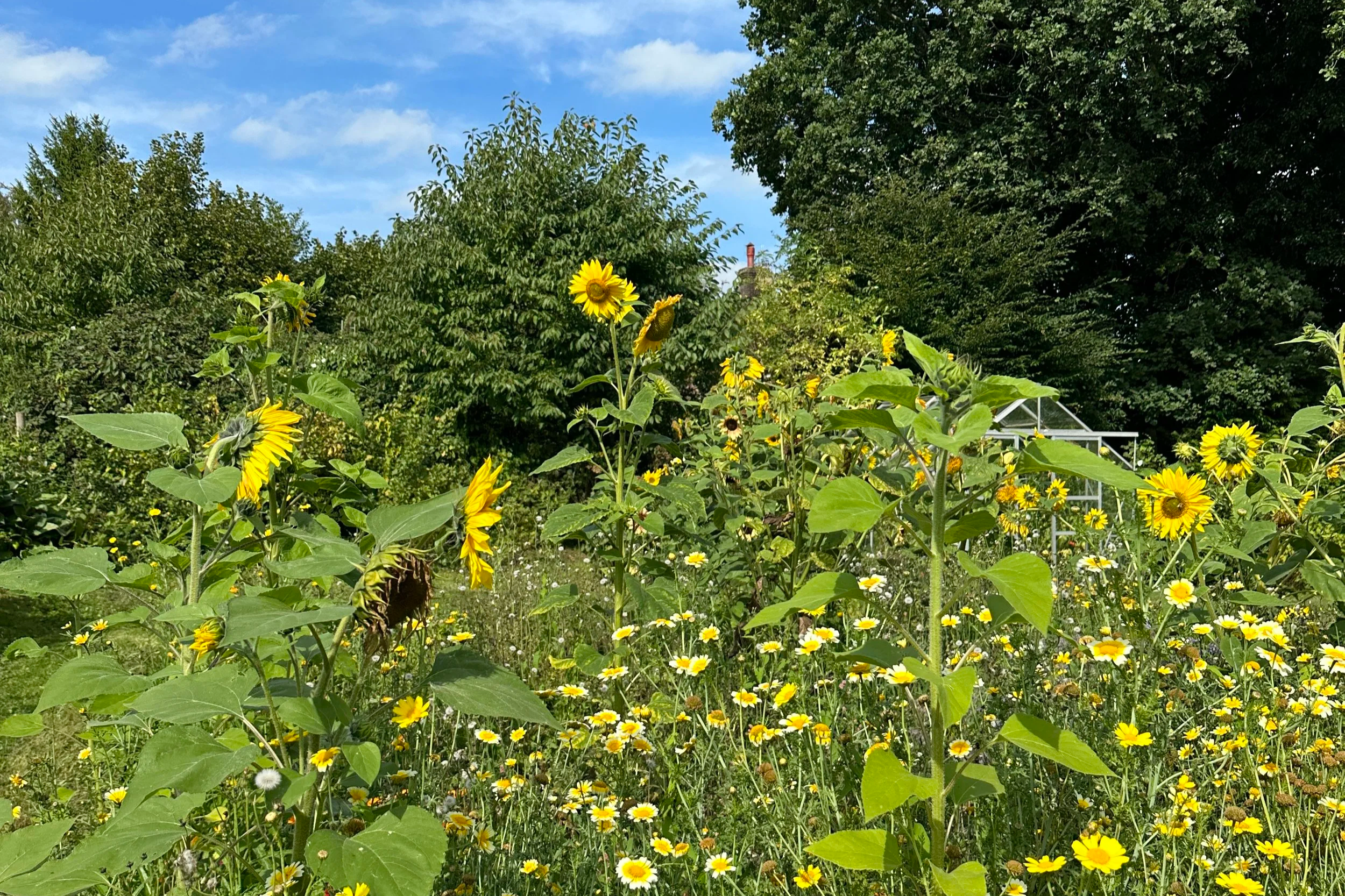 THE SUMMER I SLEPT WITH MY EX