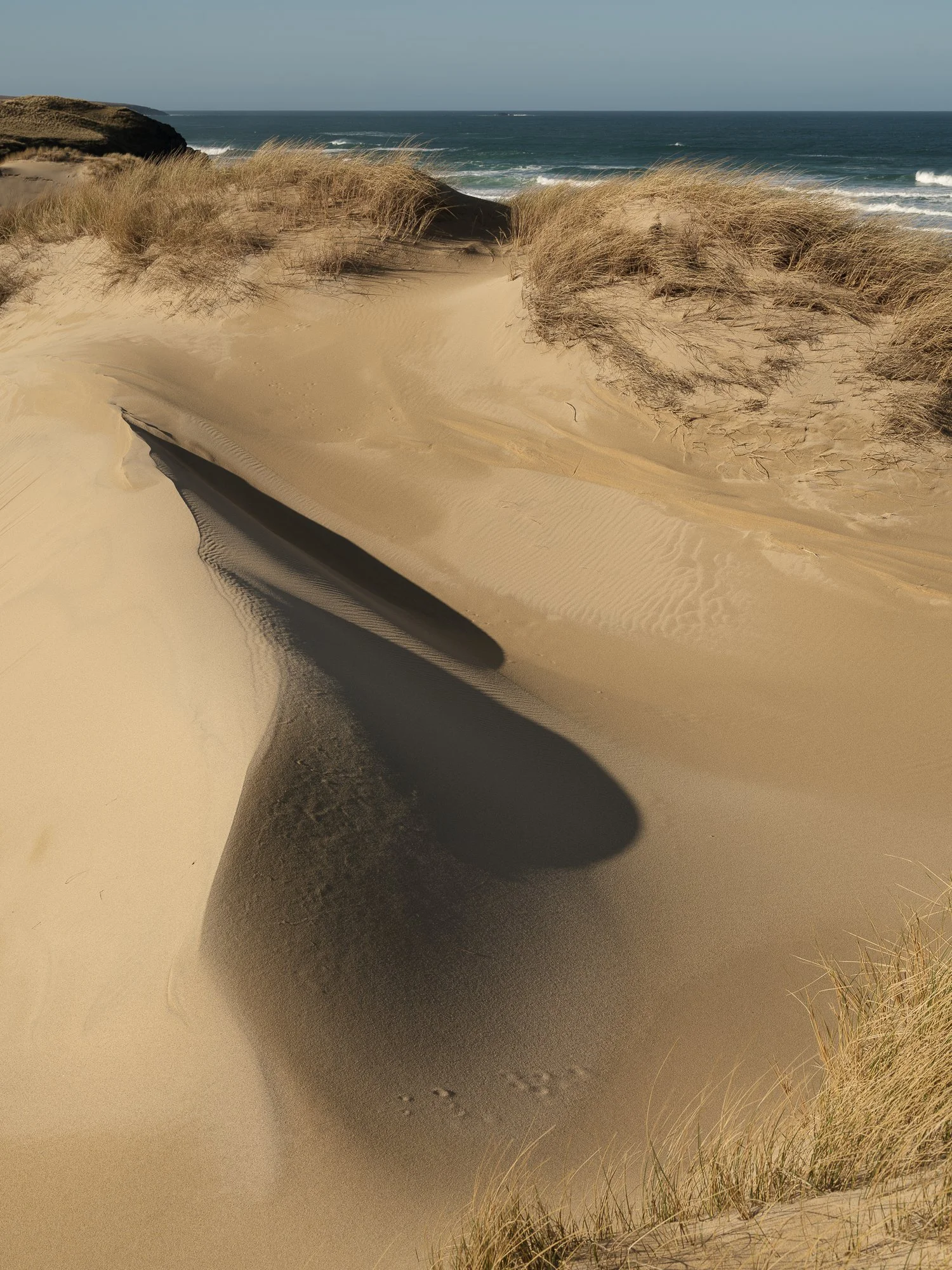 _DSF3761.jpg