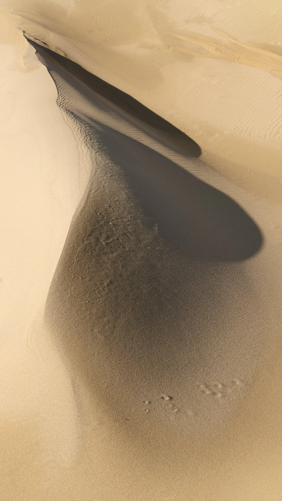 _DSF3769.jpg