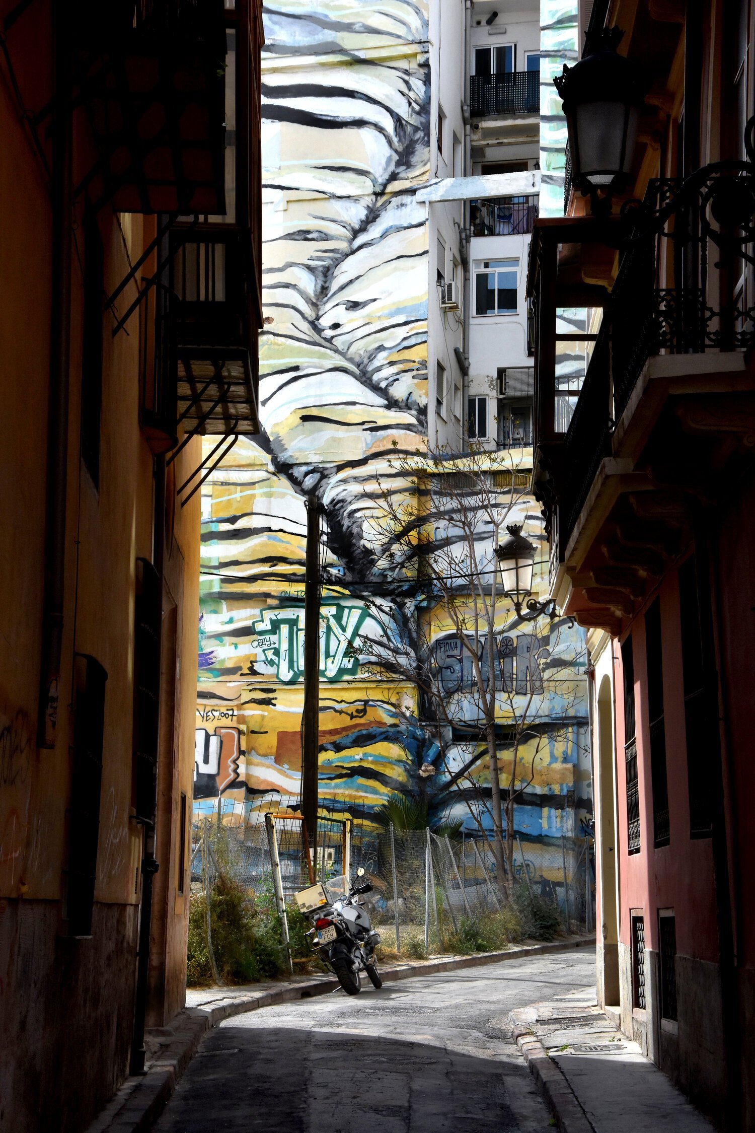 ALLEY2CVELANCIA2017.jpg