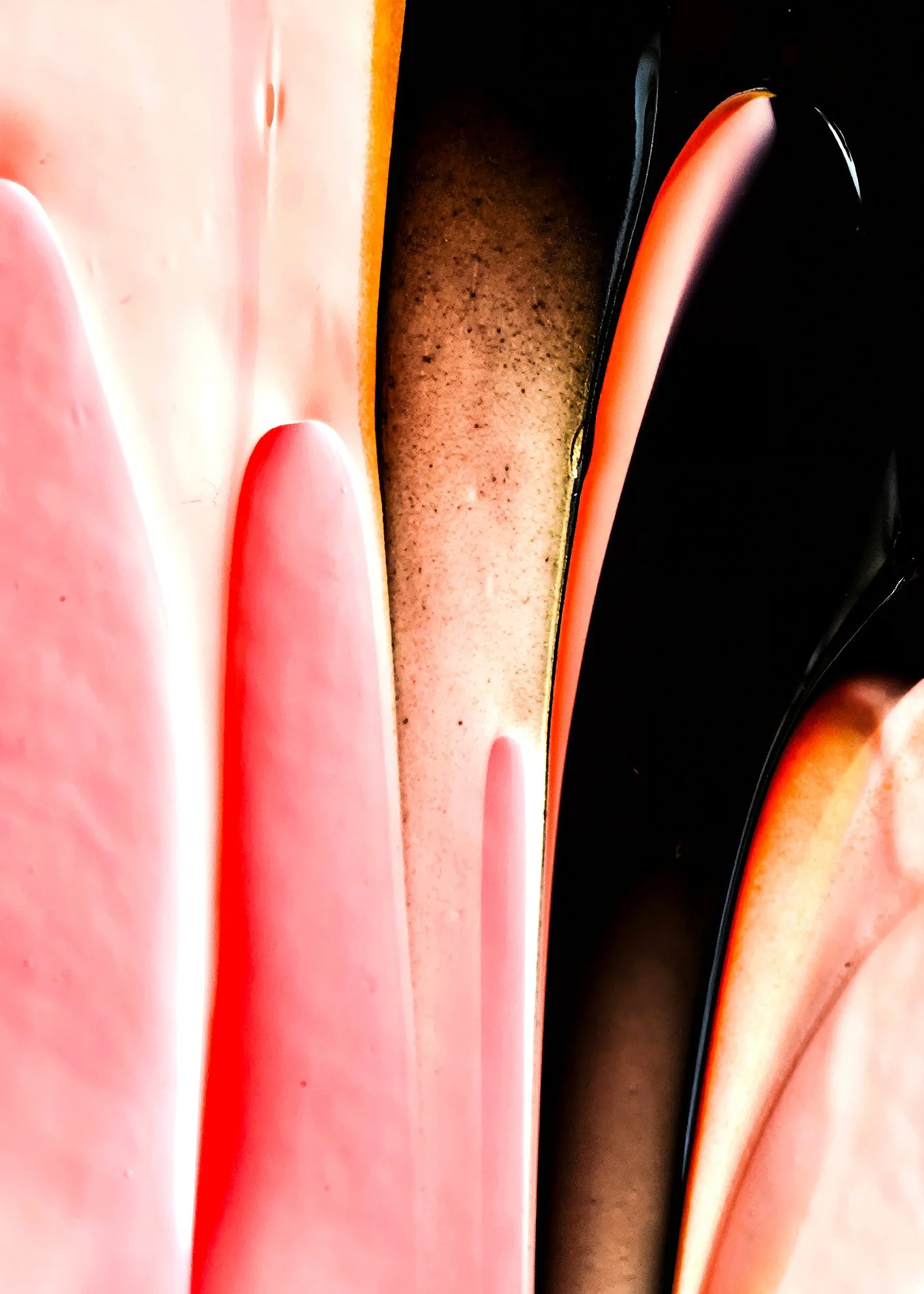 MACRO.jpg